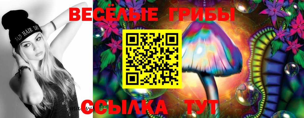 где найти наркотики  Галлюциногенные грибы GOLDEN TEACHER  Галлюциногенные грибы прущие грибы  Вход с VPN  Люберцы 